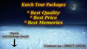 Rann of Kutch Tour Packges